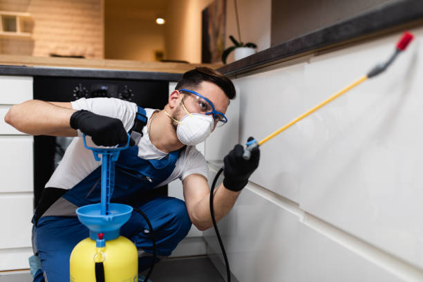 Best Wasp Removal Services  in Gettysburg, SD