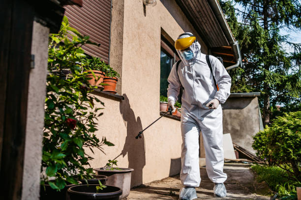 Best Mosquito Control Services  in Gettysburg, SD