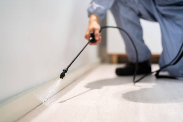 Best Pest Removal Services  in Gettysburg, SD