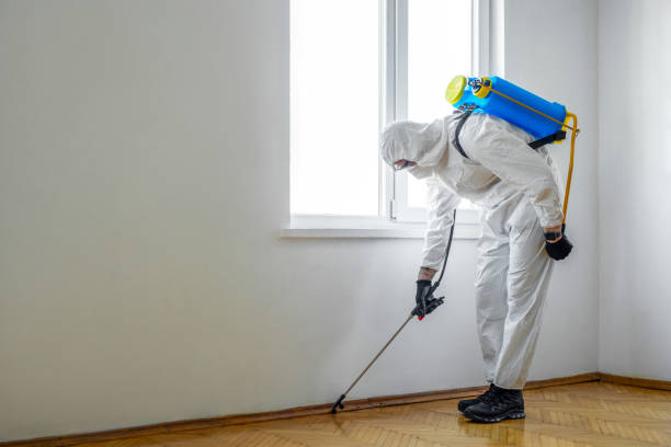 Best Best Pest Control Companies  in Gettysburg, SD