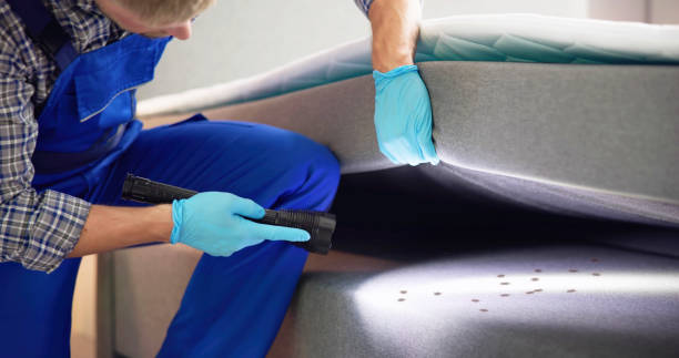 Best Cockroach Control Services  in Gettysburg, SD