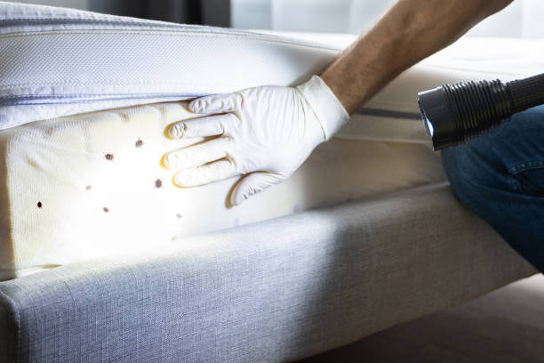 Best Exterminator Services  in Gettysburg, SD
