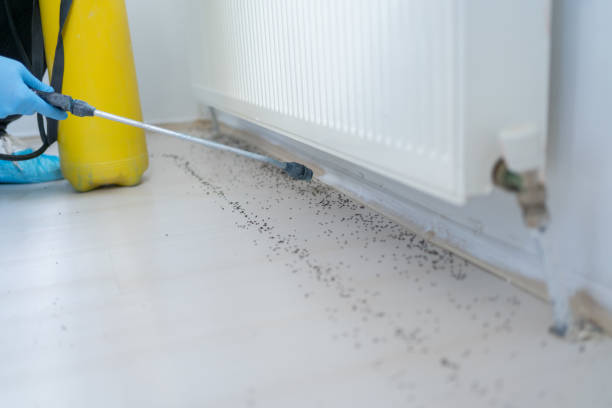 Gettysburg, SD Pest Control Company