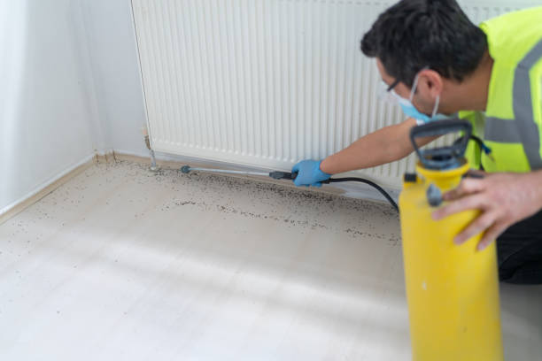 Best Pest Inspection Near Me  in Gettysburg, SD